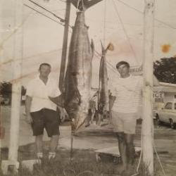Marlin