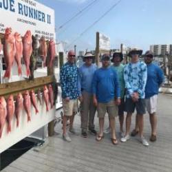 Snapper Season in FULL SWING