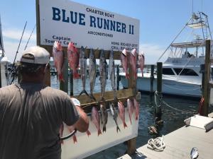 Click to enlarge image  - More great catches from this month! - 